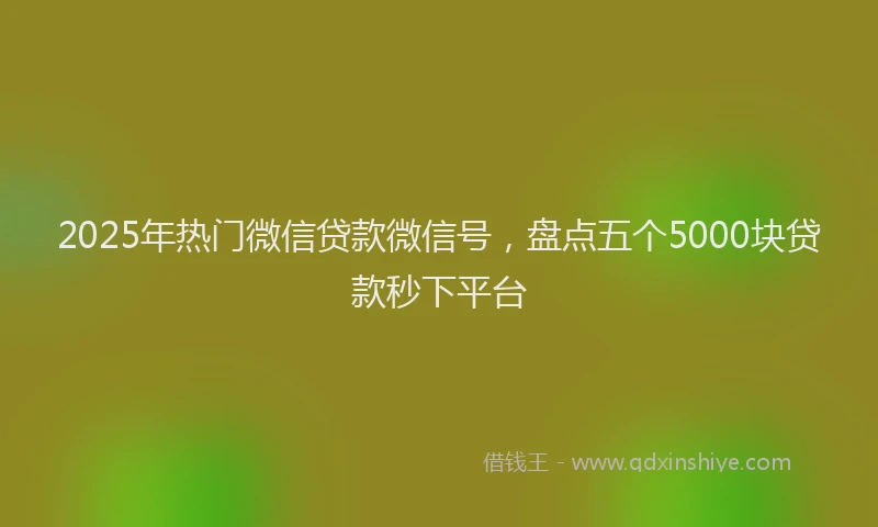 2025年热门微信贷款微信号，盘点五个5000块贷款秒下平台