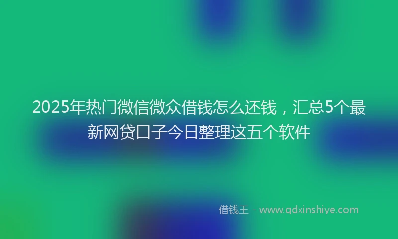 2025年热门微信微众借钱怎么还钱，汇总5个最新网贷口子今日整理这五个软件