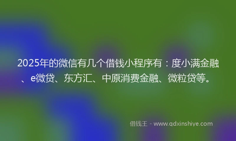 2025年的微信有几个借钱小程序有：度小满金融、e微贷、东方汇、中原消费金融、微粒贷等。