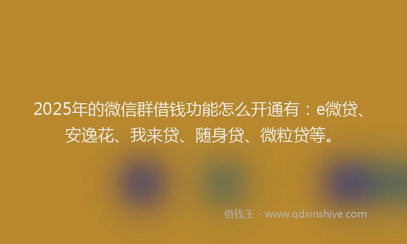2025年的微信群借钱功能怎么开通有：e微贷、安逸花、我来贷、随身贷、微粒贷等。