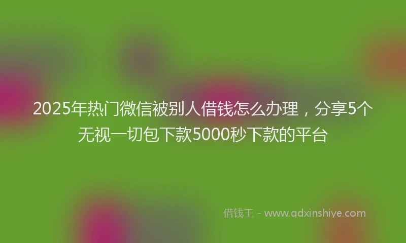 2025年热门微信被别人借钱怎么办理，分享5个无视一切包下款5000秒下款的平台