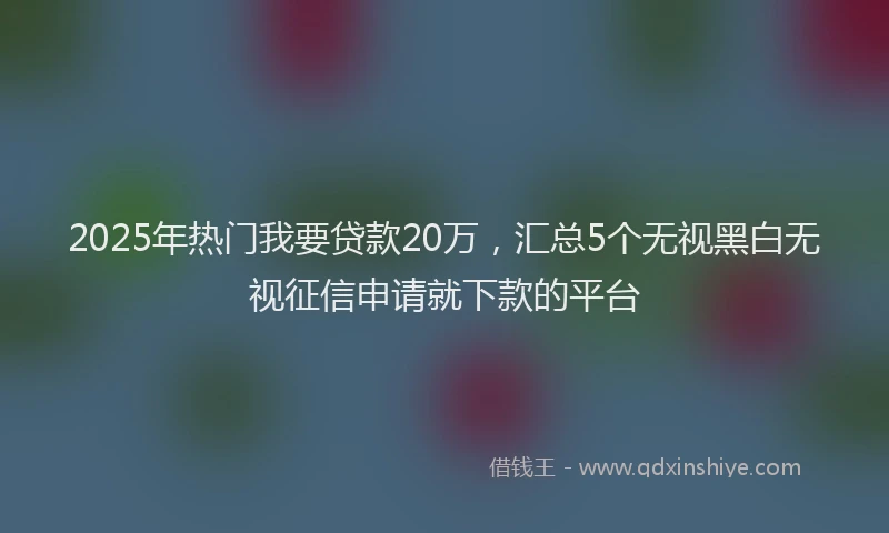 2025年热门我要贷款20万，汇总5个无视黑白无视征信申请就下款的平台