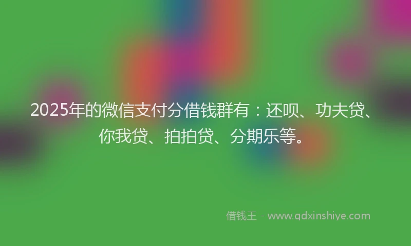 2025年的微信支付分借钱群有：还呗、功夫贷、你我贷、拍拍贷、分期乐等。