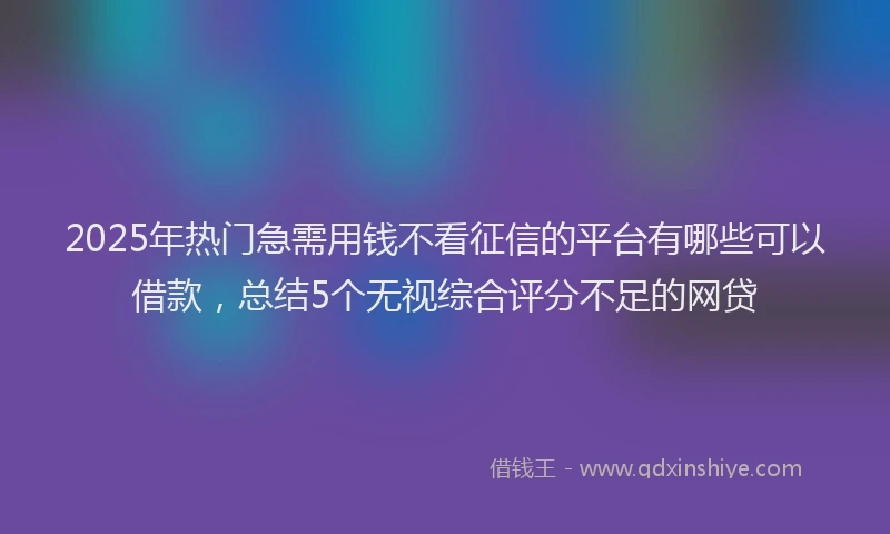 2025年热门急需用钱不看征信的平台有哪些可以借款，总结5个无视综合评分不足的网贷