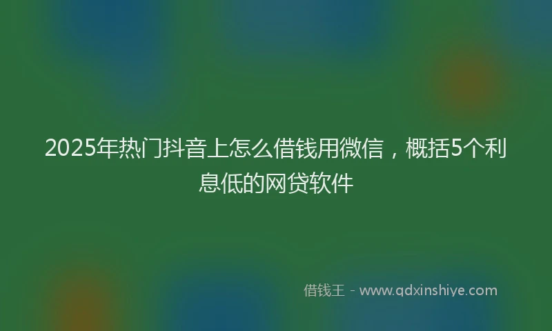 2025年热门抖音上怎么借钱用微信，概括5个利息低的网贷软件