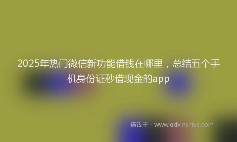 2025年热门微信新功能借钱在哪里，总结五个手机身份证秒借现金的app