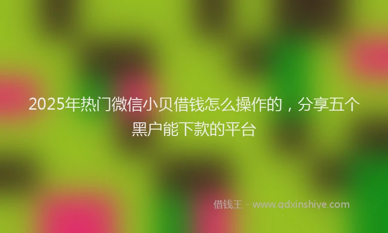 2025年热门微信小贝借钱怎么操作的，分享五个黑户能下款的平台