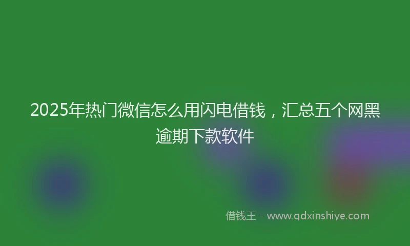2025年热门微信怎么用闪电借钱，汇总五个网黑逾期下款软件