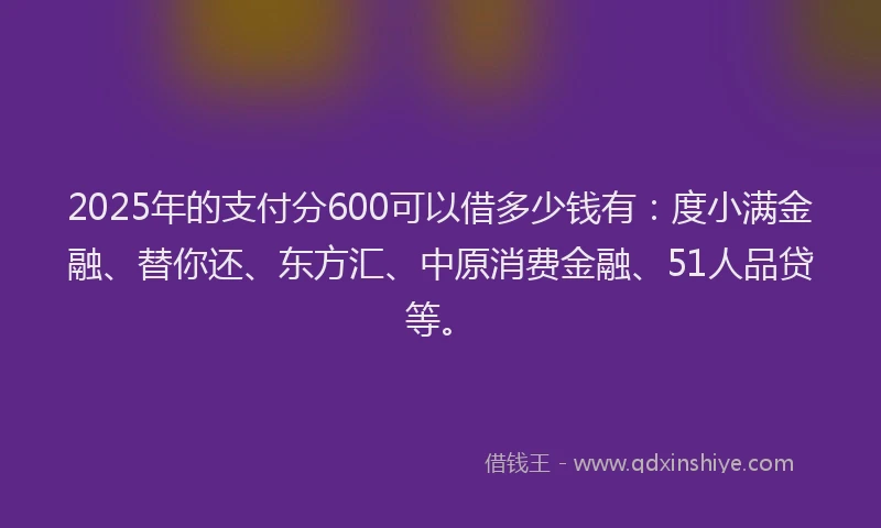2025年的支付分600可以借多少钱有：度小满金融、替你还、东方汇、中原消费金融、51人品贷等。
