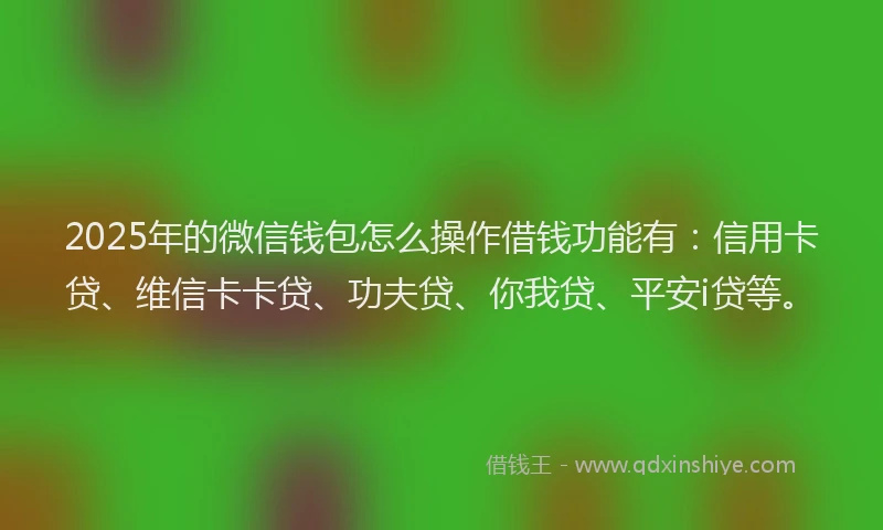 2025年的微信钱包怎么操作借钱功能有：信用卡贷、维信卡卡贷、功夫贷、你我贷、平安i贷等。