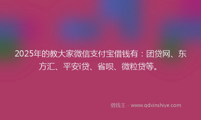 2025年的教大家微信支付宝借钱有：团贷网、东方汇、平安i贷、省呗、微粒贷等。