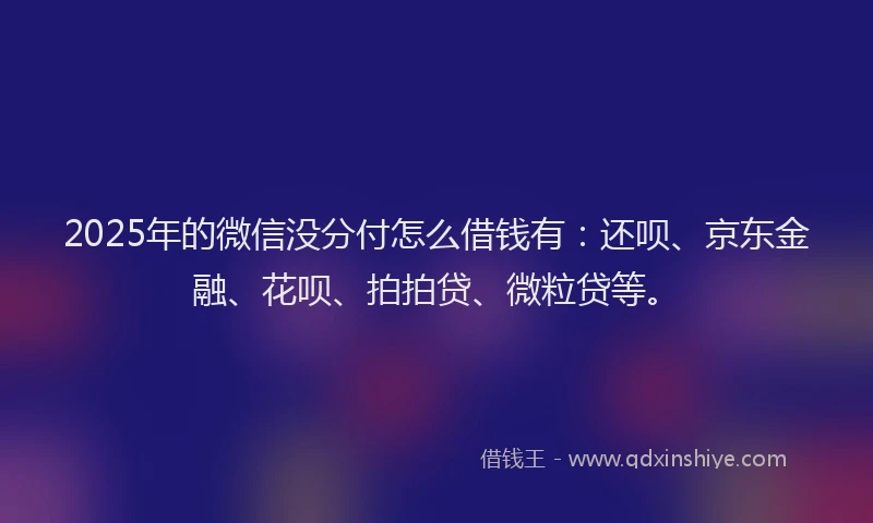 2025年的微信没分付怎么借钱有：还呗、京东金融、花呗、拍拍贷、微粒贷等。