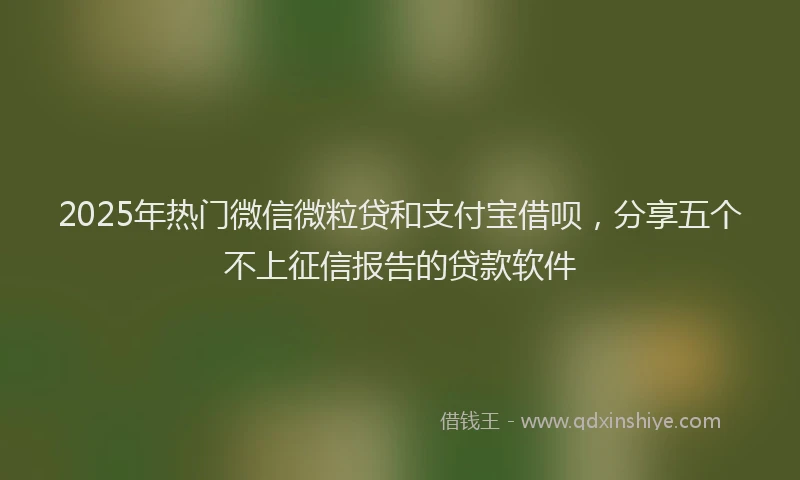 2025年热门微信微粒贷和支付宝借呗，分享五个不上征信报告的贷款软件
