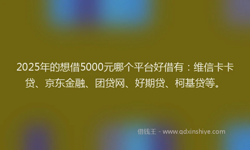 2025年的想借5000元哪个平台好借有：维信卡卡贷、京东金融、团贷网、好期贷、柯基贷等。