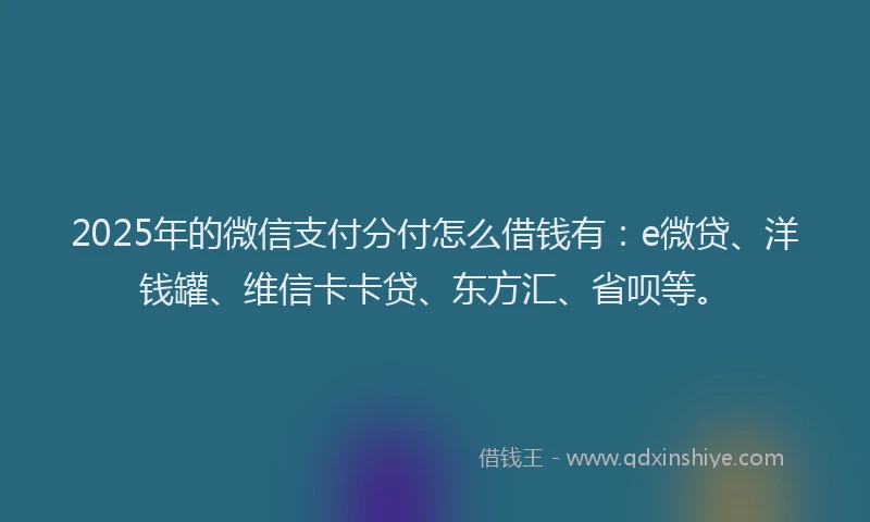 2025年的微信支付分付怎么借钱有：e微贷、洋钱罐、维信卡卡贷、东方汇、省呗等。