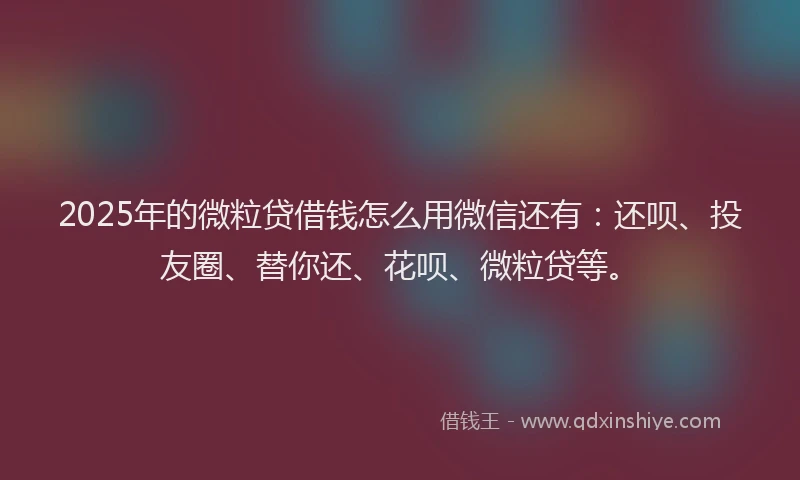 2025年的微粒贷借钱怎么用微信还有：还呗、投友圈、替你还、花呗、微粒贷等。