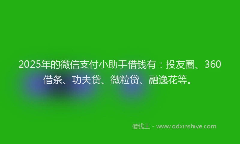 2025年的微信支付小助手借钱有：投友圈、360借条、功夫贷、微粒贷、融逸花等。