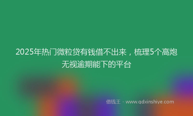 2025年热门微粒贷有钱借不出来，梳理5个高炮无视逾期能下的平台