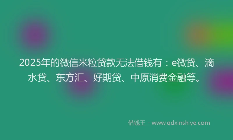 2025年的微信米粒贷款无法借钱有：e微贷、滴水贷、东方汇、好期贷、中原消费金融等。