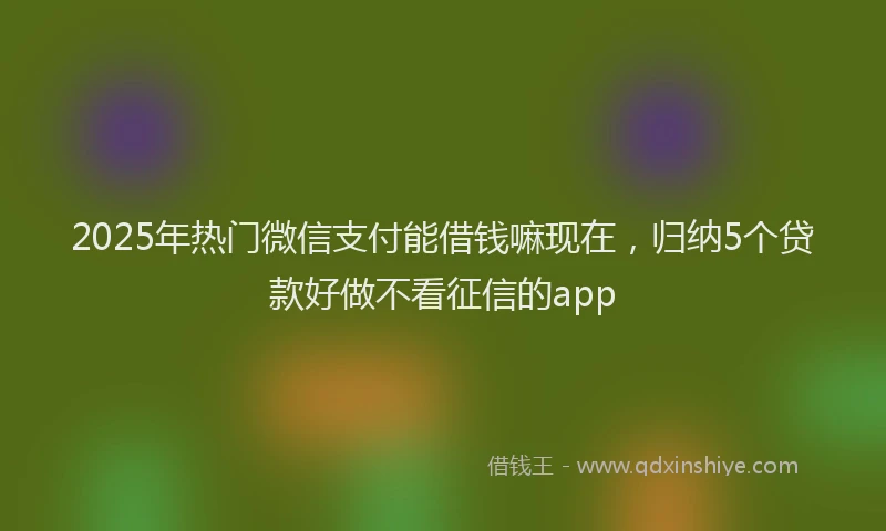 2025年热门微信支付能借钱嘛现在，归纳5个贷款好做不看征信的app