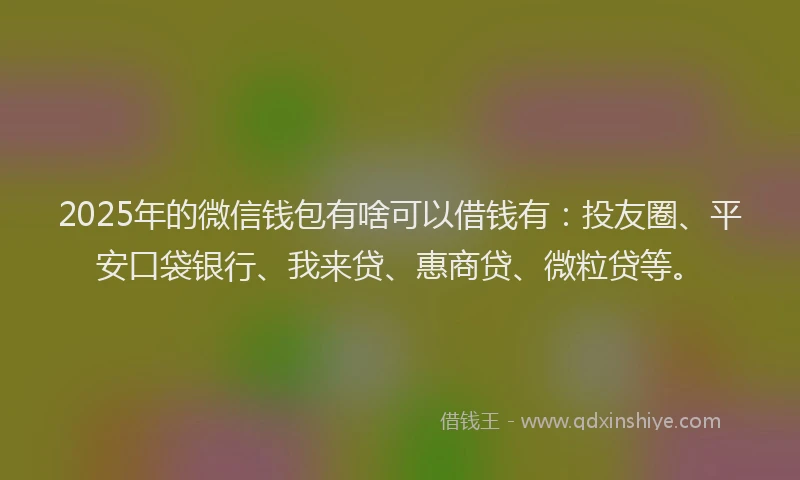 2025年的微信钱包有啥可以借钱有：投友圈、平安口袋银行、我来贷、惠商贷、微粒贷等。