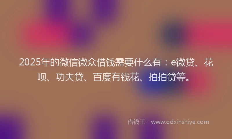 2025年的微信微众借钱需要什么有：e微贷、花呗、功夫贷、百度有钱花、拍拍贷等。