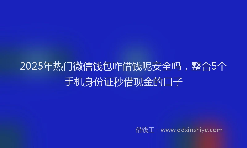 2025年热门微信钱包咋借钱呢安全吗，整合5个手机身份证秒借现金的口子