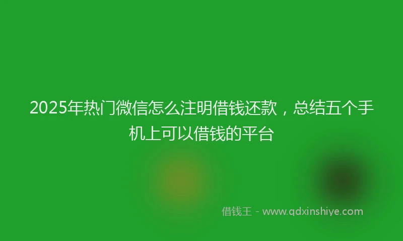 2025年热门微信怎么注明借钱还款，总结五个手机上可以借钱的平台