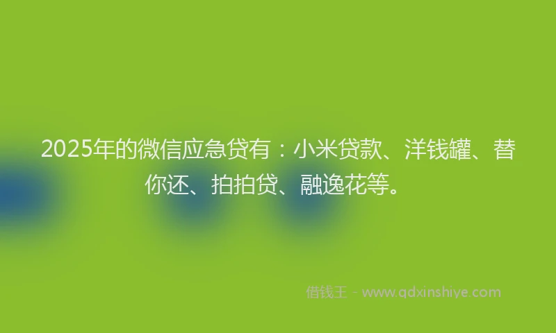 2025年的微信应急贷有：小米贷款、洋钱罐、替你还、拍拍贷、融逸花等。