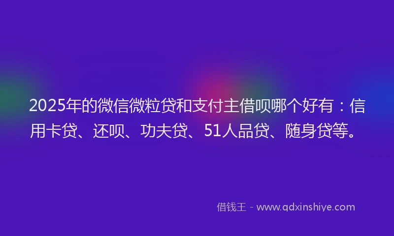 2025年的微信微粒贷和支付主借呗哪个好有：信用卡贷、还呗、功夫贷、51人品贷、随身贷等。