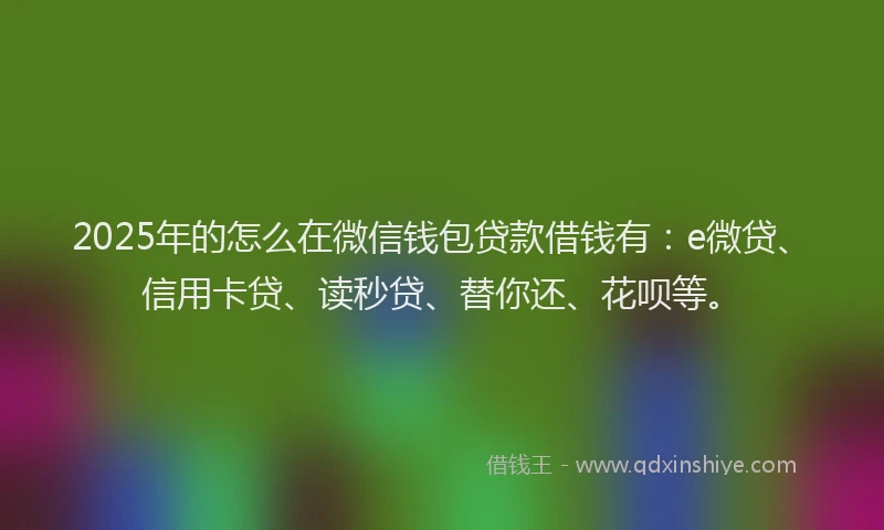 2025年的怎么在微信钱包贷款借钱有：e微贷、信用卡贷、读秒贷、替你还、花呗等。