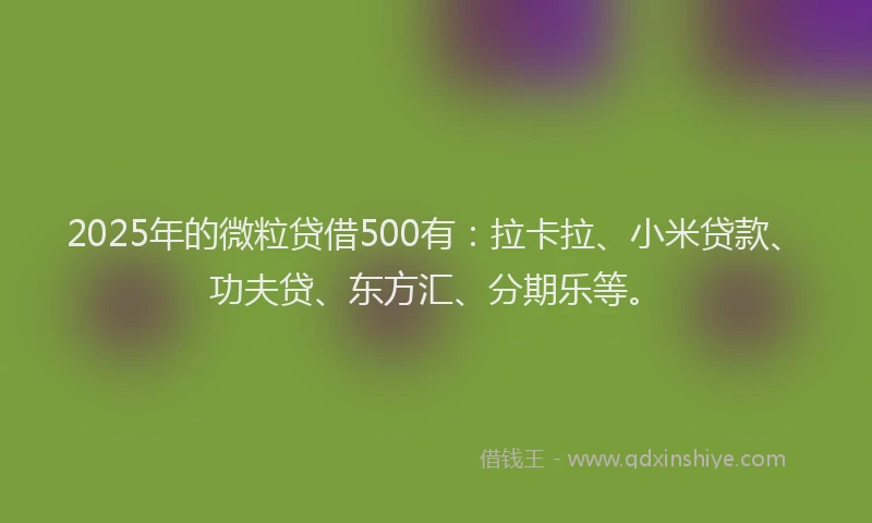 2025年的微粒贷借500有：拉卡拉、小米贷款、功夫贷、东方汇、分期乐等。