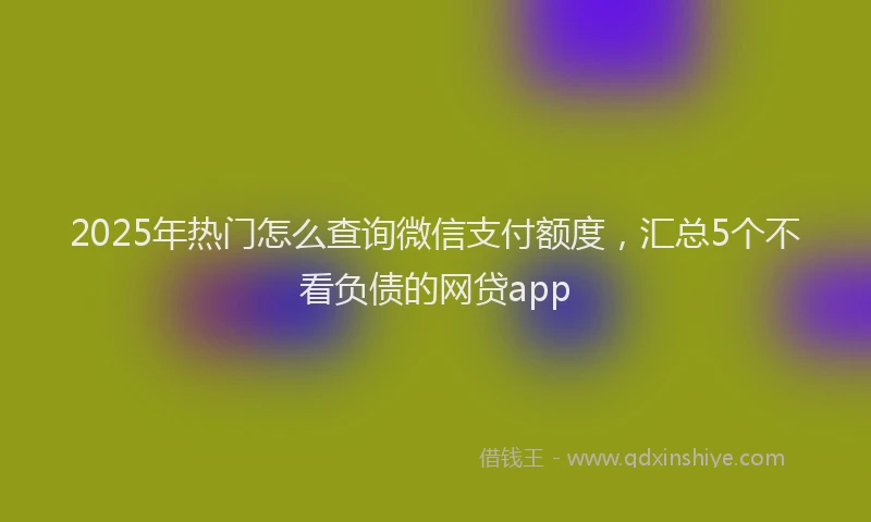 2025年热门怎么查询微信支付额度，汇总5个不看负债的网贷app