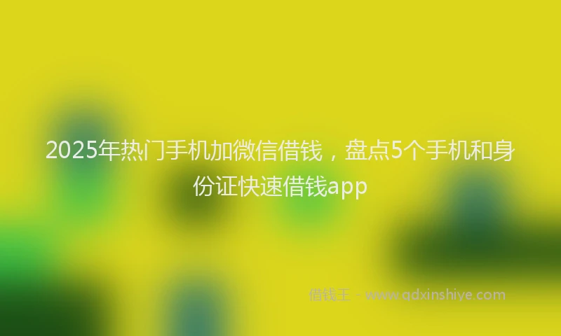 2025年热门手机加微信借钱，盘点5个手机和身份证快速借钱app