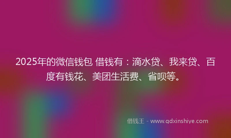 2025年的微信钱包 借钱有：滴水贷、我来贷、百度有钱花、美团生活费、省呗等。