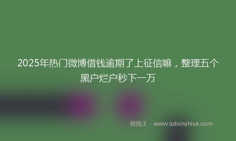 2025年热门微博借钱逾期了上征信嘛，整理五个黑户烂户秒下一万