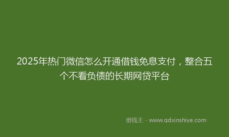2025年热门微信怎么开通借钱免息支付，整合五个不看负债的长期网贷平台