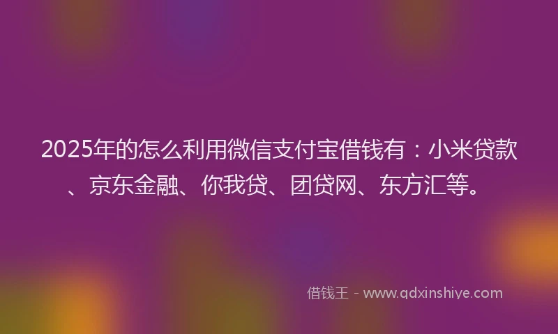 2025年的怎么利用微信支付宝借钱有：小米贷款、京东金融、你我贷、团贷网、东方汇等。