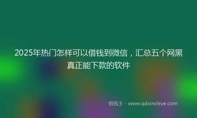 2025年热门怎样可以借钱到微信，汇总五个网黑真正能下款的软件