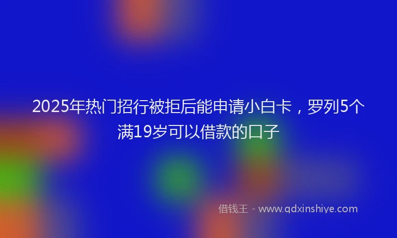 2025年热门招行被拒后能申请小白卡，罗列5个满19岁可以借款的口子