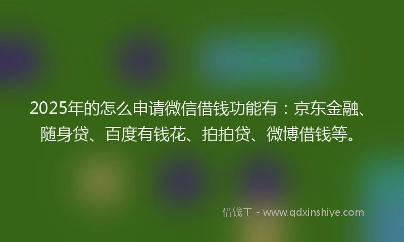 2025年的怎么申请微信借钱功能有：京东金融、随身贷、百度有钱花、拍拍贷、微博借钱等。