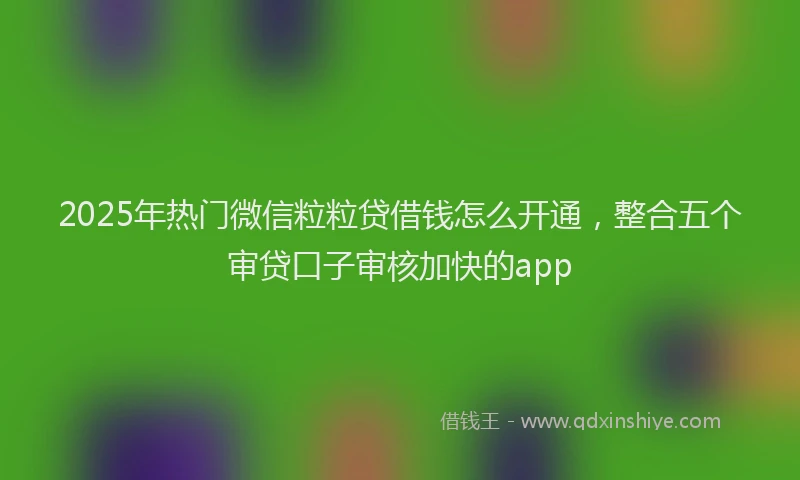 2025年热门微信粒粒贷借钱怎么开通，整合五个审贷口子审核加快的app
