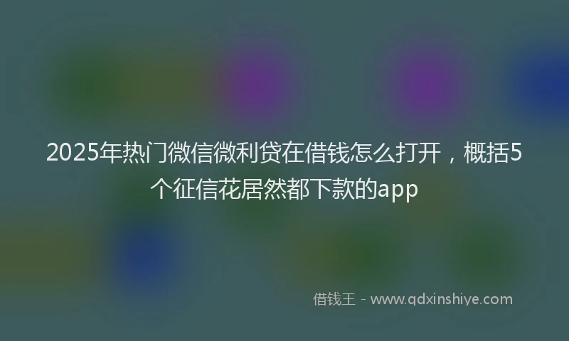 2025年热门微信微利贷在借钱怎么打开，概括5个征信花居然都下款的app