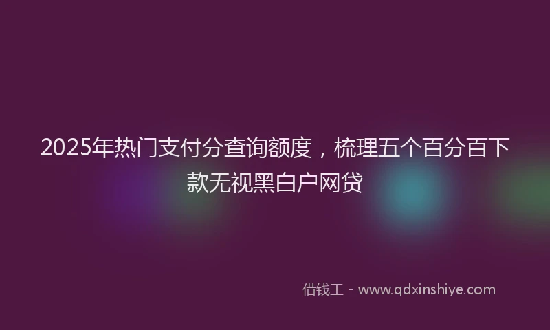 2025年热门支付分查询额度，梳理五个百分百下款无视黑白户网贷