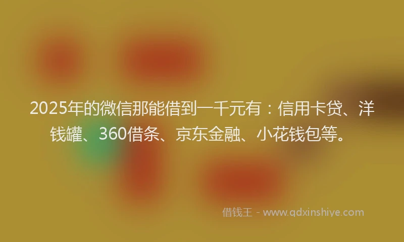 2025年的微信那能借到一千元有：信用卡贷、洋钱罐、360借条、京东金融、小花钱包等。