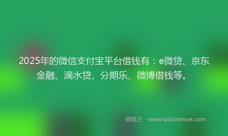 2025年的微信支付宝平台借钱有：e微贷、京东金融、滴水贷、分期乐、微博借钱等。