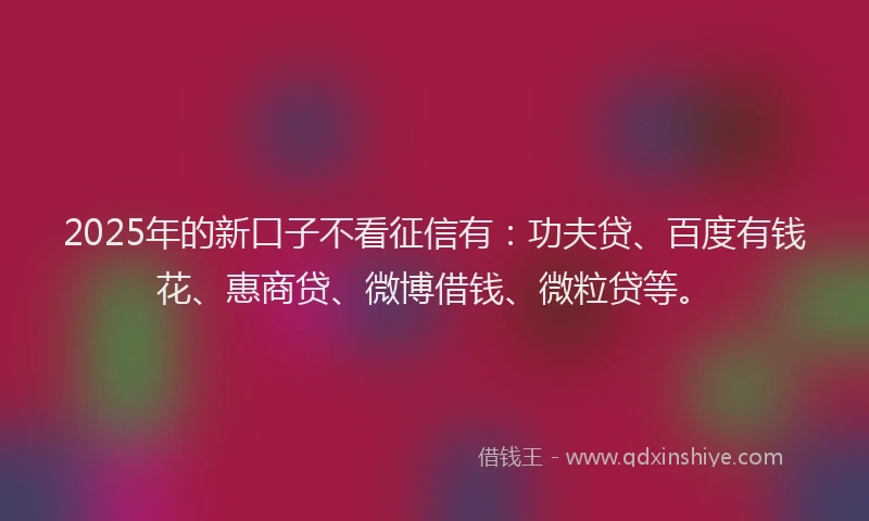 2025年的新口子不看征信有：功夫贷、百度有钱花、惠商贷、微博借钱、微粒贷等。