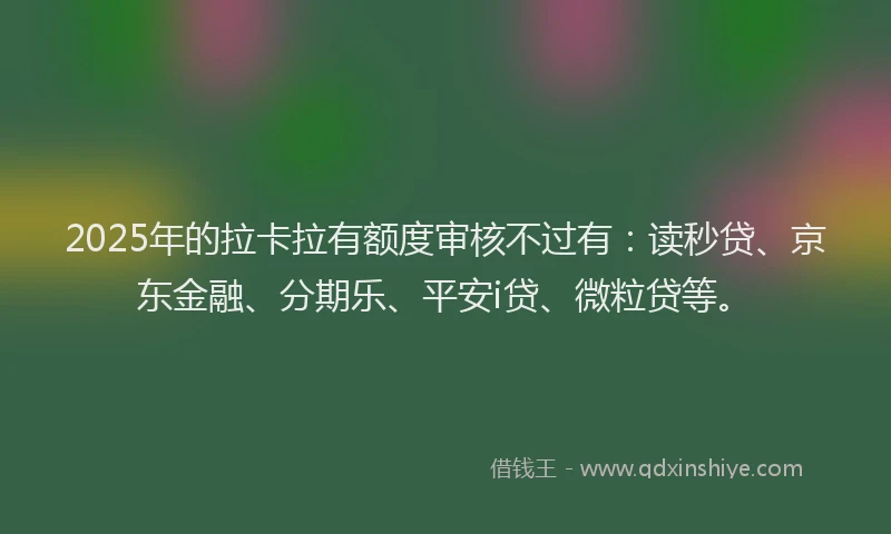 2025年的拉卡拉有额度审核不过有：读秒贷、京东金融、分期乐、平安i贷、微粒贷等。
