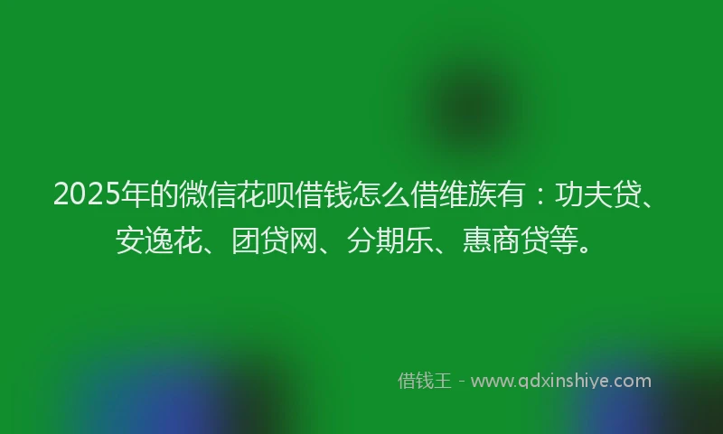 2025年的微信花呗借钱怎么借维族有：功夫贷、安逸花、团贷网、分期乐、惠商贷等。