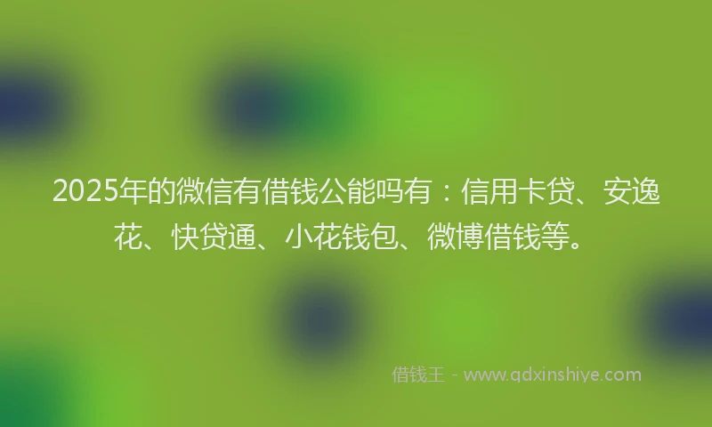 2025年的微信有借钱公能吗有：信用卡贷、安逸花、快贷通、小花钱包、微博借钱等。